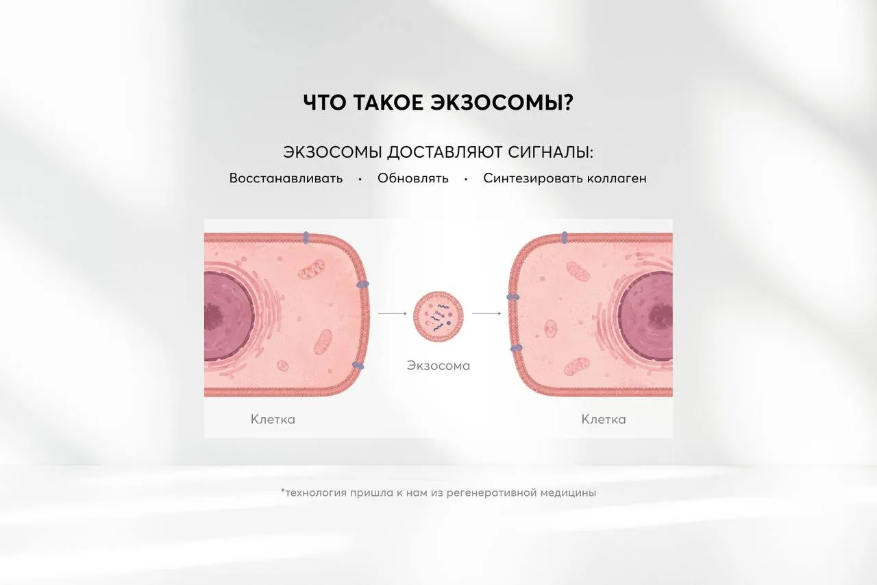 Восстанавливающая сыворотка с экзосомами и бакучиолом